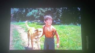 The Brothers are Fighting over about the Dog from Old Yeller (