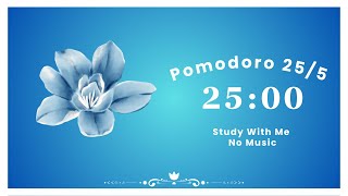 1 hour of Pomodoro (25/5) Timer | Study with me, (No Music) 