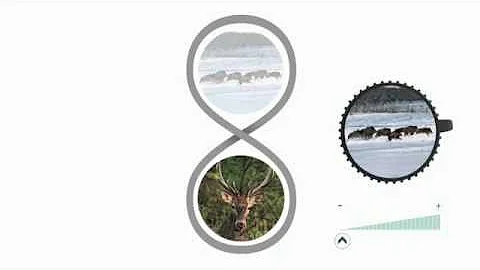 SWAROVSKI OPTIK Z8i Rifle Scope