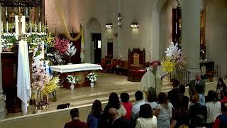Seventh Sunday of Ordinary Time | May 17, 2026 11:15AM Mass