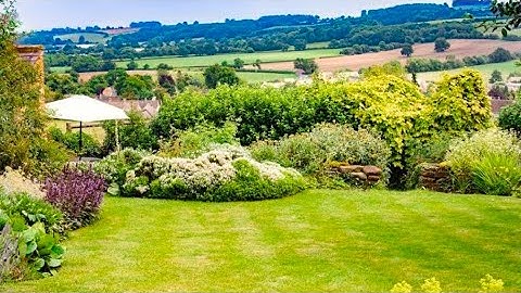 simple ornamental plants from the village