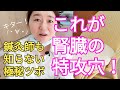 【腎臓に負担かけてる人は激痛】鍼灸師も知らない腎臓の特攻穴をご紹介します！