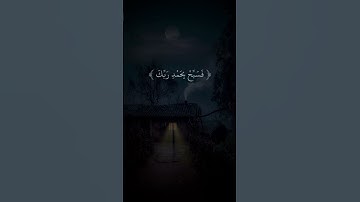 سورة النصر - سعد الغامدي