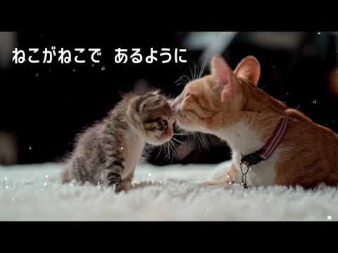 【歌のおねにいさん☆あまね】ジャムザハウスネイル 〜僕でありたい〜【歌ってみた】