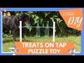 Spin the bottle DIY food puzzle for dogs - homemade PVC bottle bar - enrichment toy