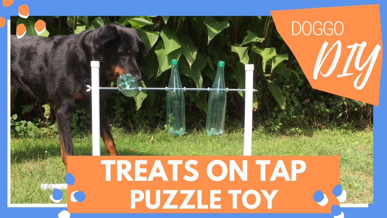 DIY Dog Puzzles – Impact Dog Crates