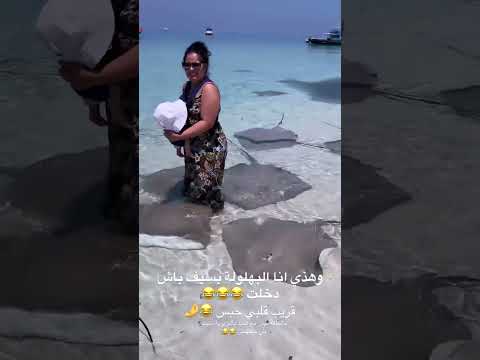 رانيا ازميرالدا بسيف دخلت نعوم معا القرش قلبي حبس مالخلعة نعاير سيد ما فهم والو رانيا إزميرالدا 