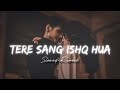 Tere Sang Ishq Hua - A Song About Falling in Love 😍