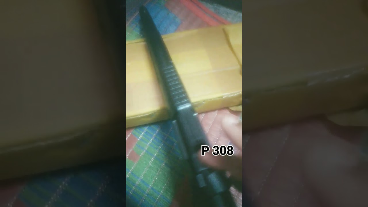 gun p 308 target of brick 