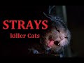 Strays (1991) killer cats - Movie in English