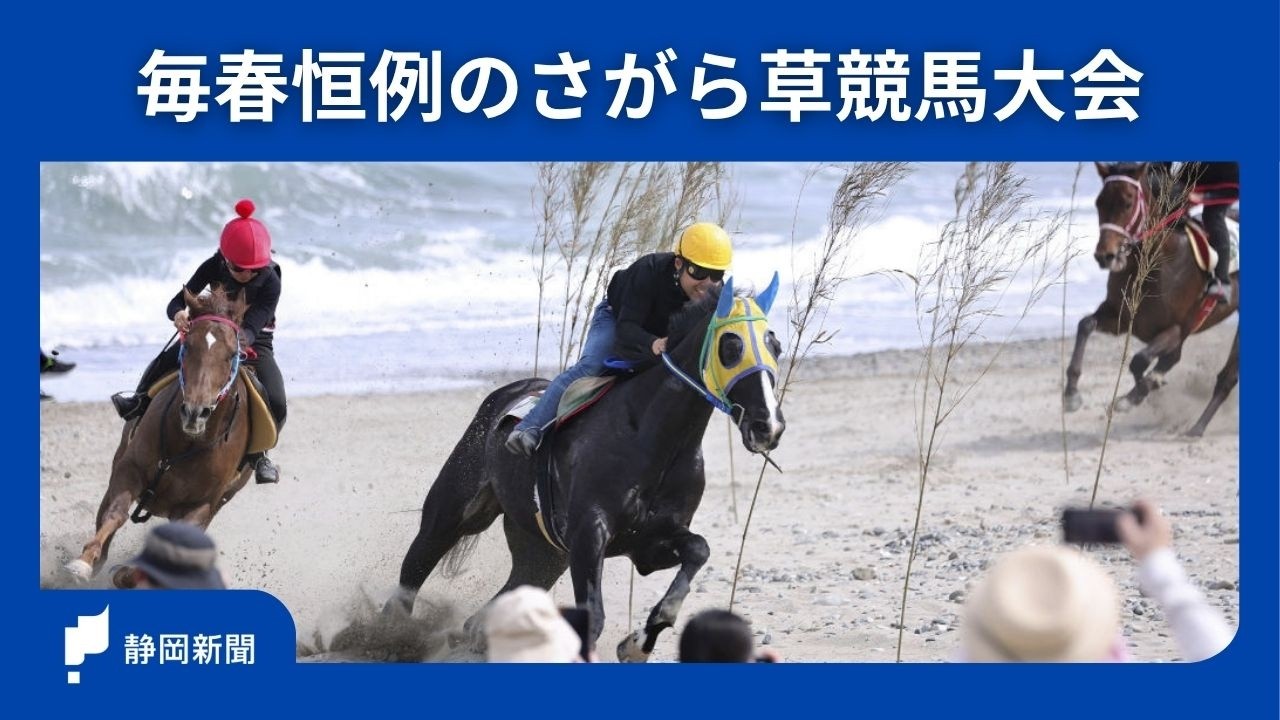 牧之原市のビーチにサラブレッド 「さがら草競馬」砂煙上げ全力疾走