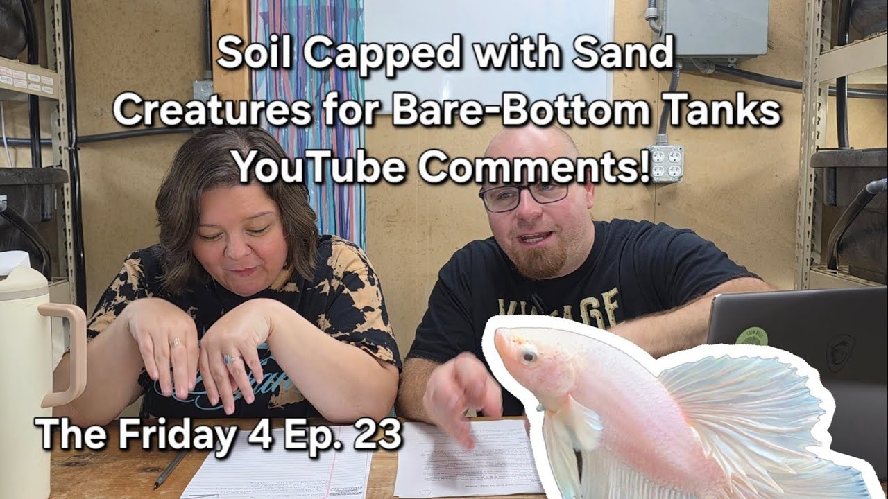 The Benthic Bulletin Submissions - Aquatic Creatures in Self Sustaining Tank - The Friday 4 Ep. 23