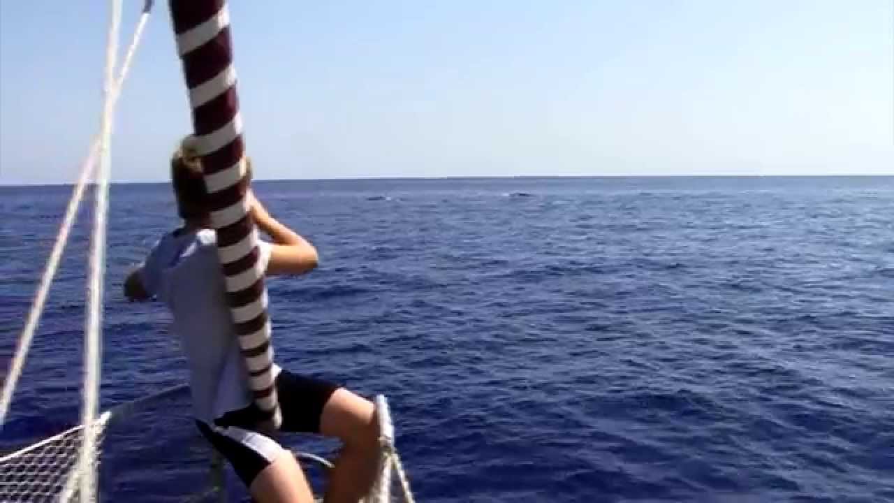 3 Finnwale im Tyrrhenisches Meer von einer Etap 28i aus