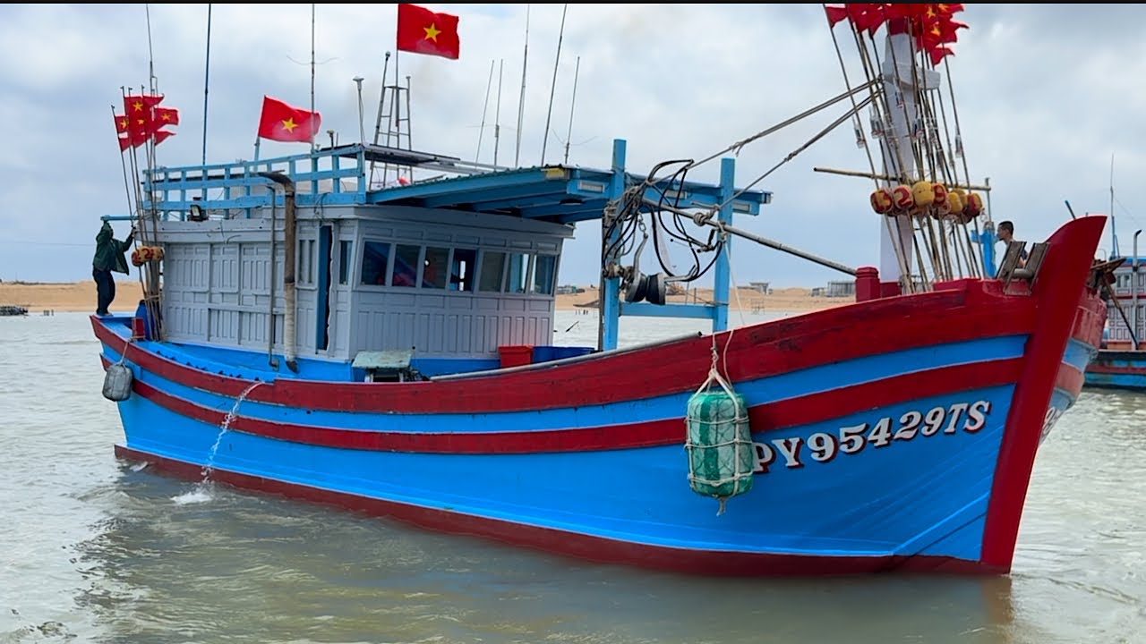 Официальный старт гоночной трассы «Пушистая сеть»