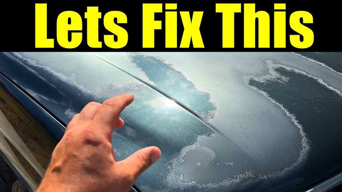 How to Fix Clear Coat Peeling  Andy Mohr Collision Center IN