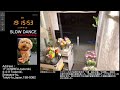 【Sun.04/12/2026 Livecamera at the florist】 スローダンス SLOWDANCE 等々力 尾山台 世田谷 Setagaya 東京 Tokyo 日本 Japan
