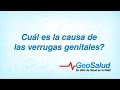 Cuál es la causa de las verrugas genitales?