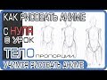 Как нарисовать аниме Тело, Торс, Туловище #2 (Пропорции) | Как рисовать аниме с нуля #6