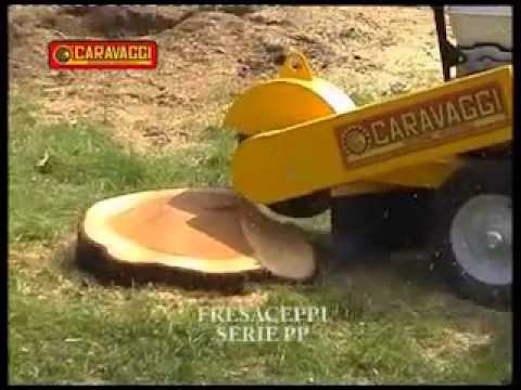 For product with reference: SG-13PP