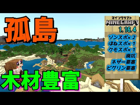 神シードver1 16 ３種スポナーの待つ木材豊富孤島 マイクラ統合版 Best Seed Part52 Youtube