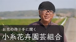よいはな 公式 お花の育て方 飾り方 お花の生産者にインタビュー Youtube