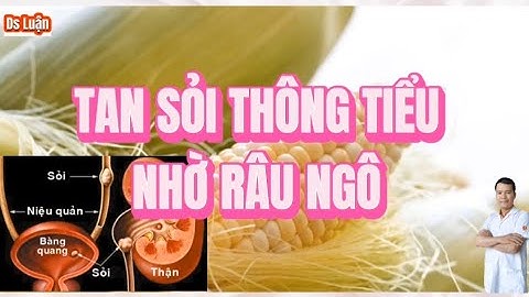 Cách làm tan Sỏi thận thông tiểu bằng râu Ngô|Dược sĩ Luận