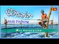 රිටිපන්න මාලු කර්මාන්තය | Stilt Fishing Sri Lanka | Stilt Fisherman Sri Lanka