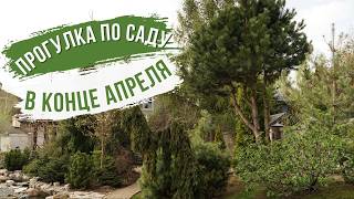 Прогулка по саду от 23.04.2026