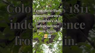 Finding Peace in Cartagena's Historic Centenario Park #Shorts