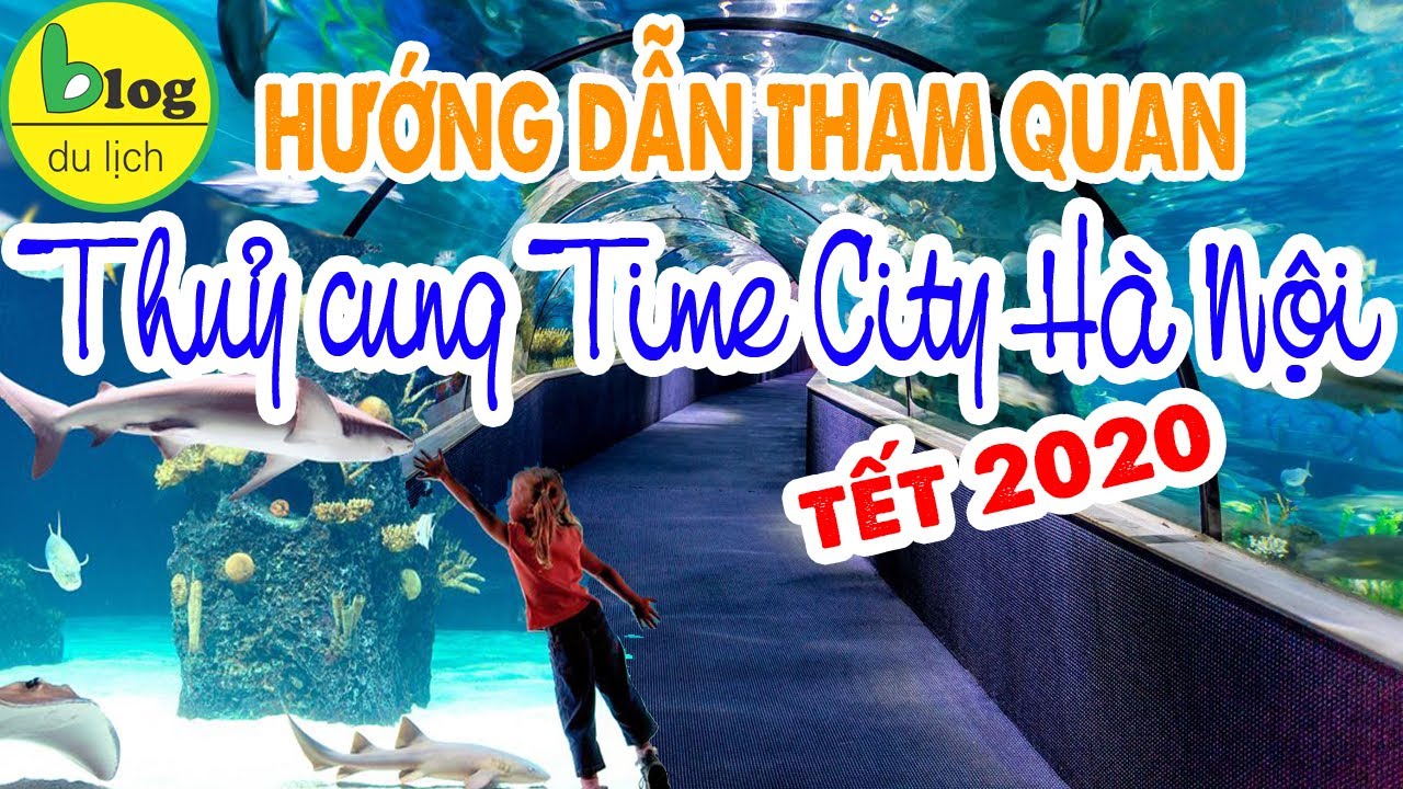 royal city khu vui chơi  New Update  Du lịch Hà Nội: Tham quan thuỷ cung Times City 2020