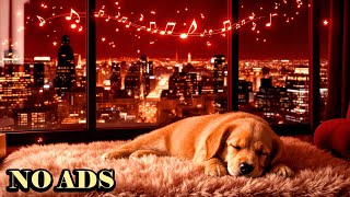 Peaceful Dog Sleepの配信のサムネイル画像