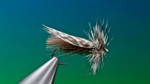 Fly Tying a Slow Water Caddis with Barry Ord Clarke