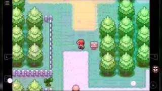 RIVAL KAZ! (Gary) #3 《LIGA POKEMOM 》