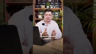Быстрый способ запомнить 1000 слов #итальянскийдляначинающих #итальянский #итальянскийязык