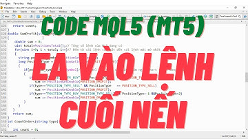 Tập 24 Code MQL5 hướng dẫn code robot EA vào lệnh cuối nến