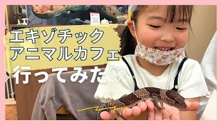 【触れる動物カフェ🐊】エキゾチックアニマルカフェに行ってみた🐒