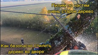 Арбористика‼️Аккуратное Удаление Крупного Дерева🌳По Частям В Стесненных Условиях.stihl Husqvarna