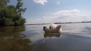 Изольда Плавает Подводная Съемка