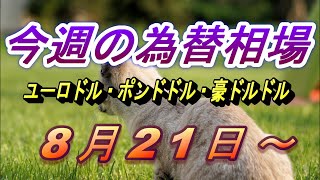 【TAKA FX】ドル、円、ユーロ、ポンド、豪ドルの今週の動きと来週の展望をチャートから解説。8月21日～