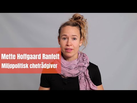 Video: Hvorfor bør plastik fødevarebeholdere undgås?