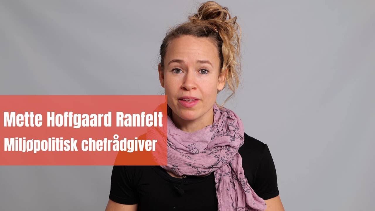 Hvorfor og hvordan er plastik et problem for miljøet?