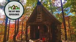An Original Off Grid Cabin | Part 2 | Ep. 3 | Roof Leak? Torrential Rain, Start of Interior by The Off Grid Experience 111,057 views 1 year ago 21 minutes