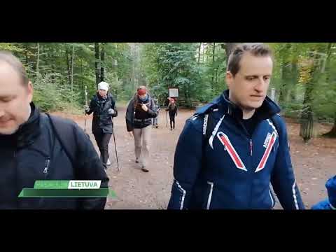 Video: Kaip Nelikti Vienišam