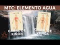 ELEMENTO AGUA 💧 Canal de VEJIGA y CANAL de RIÑON con sus PUNTOS MÁS IMPORTANTES