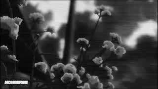 As The World Caves In - Matt Maltese (Cover by Sarah Cothran) [1 hours loop]