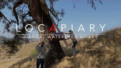 LocApiary installation