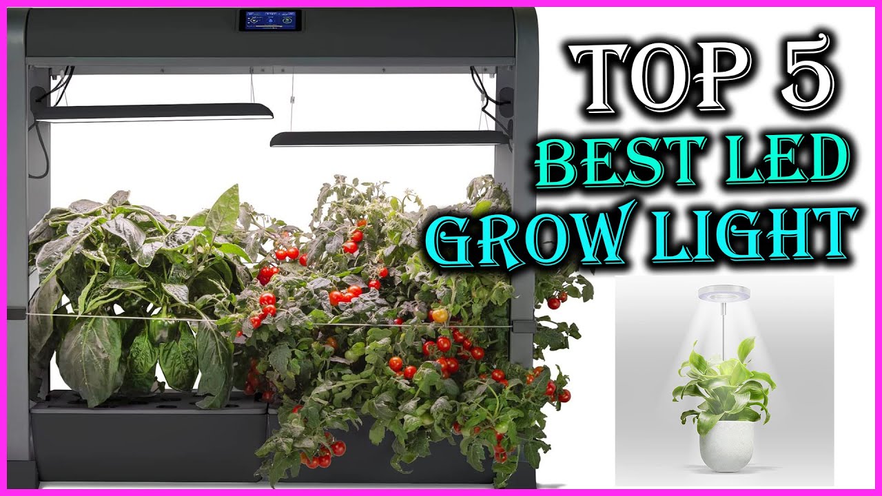 Top 5 Best LED Grow Light for Indoor Plants in 2022