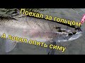 Рыбалка с одной ямы. Ловля симы. Сахалинская рыбалка & Sakhalin fishing