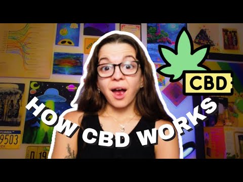 Healing Hemp CBD Gummies: Reviewed for Efficacy and Quality
