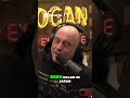 Japan is at war with who?? #podcast #joerogan #bears